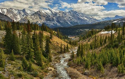 Springtime In The Rocky Mountains Rpics