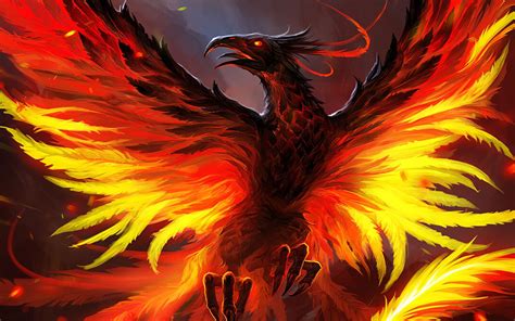 Red Phoenix Wallpapers Top Free Red Phoenix Backgrounds Wallpaperaccess
