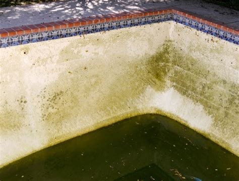 How We Can Remove Those Stubborn Pool Stains