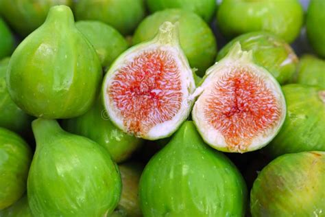 Figues vertes image stock Image du sain frais nature