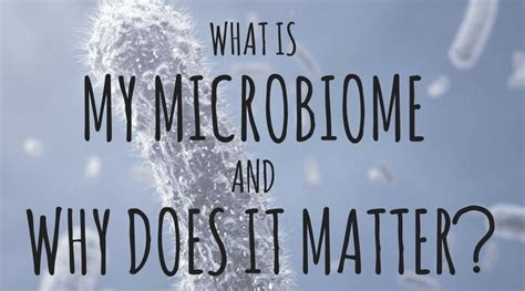 What Is My Microbiome And Why Does It Matter Gut Geek