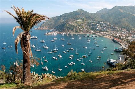 Download 16 Fun Things to Do on Catalina Island If You Happen to ...