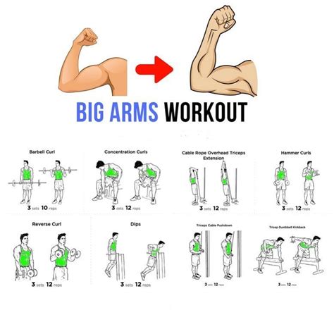 Big Arm Work Out Tutorial Step By Step Arm Workout Big Arm Workout