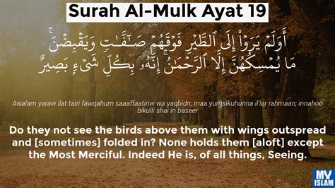 Surah Al Mulk Ayat 16 6716 Quran With Tafsir My Islam
