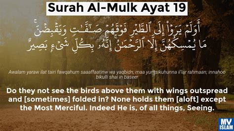 Surah Al Mulk Ayat 675 Quran With Tafsir My Islam 52 Off