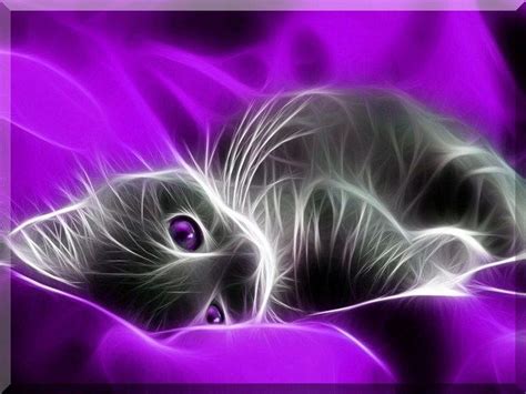 Cool¡ Purple Cat Cat Art Cats