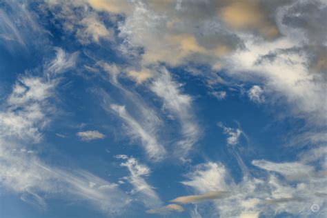 Sky And Clouds Texture High Quality Free Backgrounds