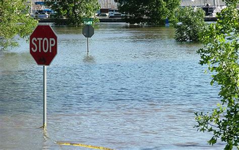 Check spelling or type a new query. Tips to Stop Water Damage in Chicago Basements