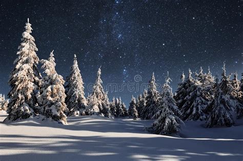 Starry Sky In Winter Snowy Night Majestic Landscape Stock Photo