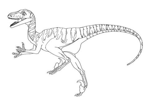 Velociraptor Dino Ausmalbilder Zum Ausdrucken E1530974444662 43c