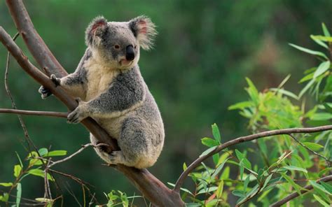 Great Natural Wonders To Explore In Australia