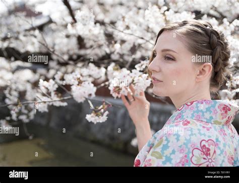 Cherry Blossoms In Gion Kyoto Stock Photo Alamy