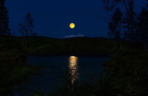 Full Moon Over Forest And River