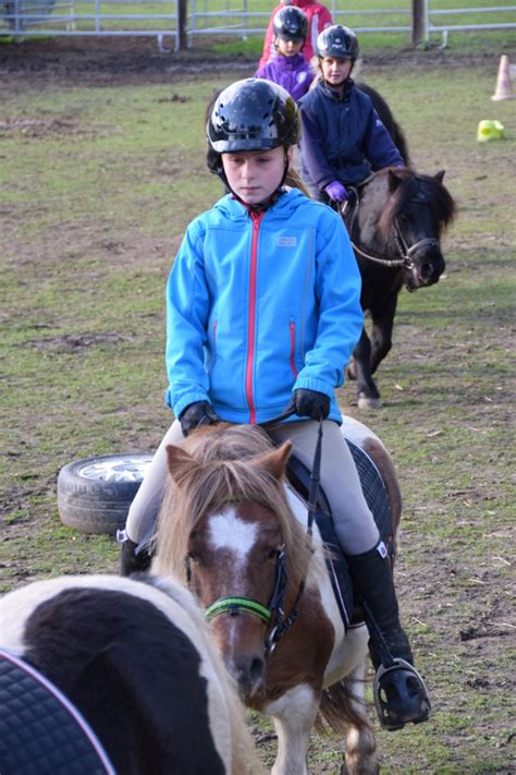 Hufschlagfiguren und lektionen sind kein selbstzweck, sondern finden verwendung bei der ausbildung des pferdes und beim täglichen training. Ponyhof Ettersdorf - RA9 Püfung Oktober