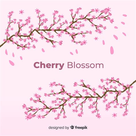 Premium Vector Cherry Blossom Branch With Sakura Flower Watercolor