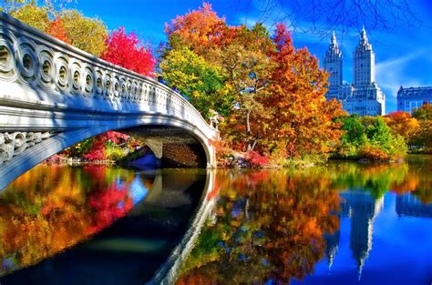 Download Bow Bridge Reflection Building Tree Fall New York Central Park