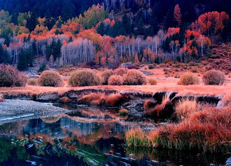 Nature Landscape River Fall