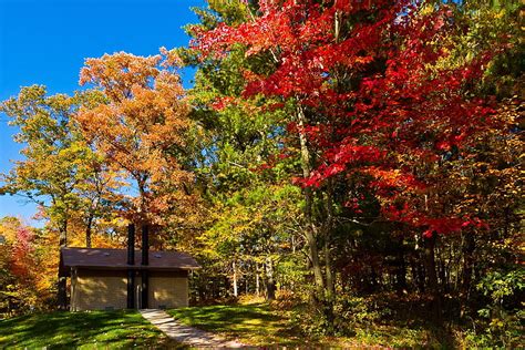 Nature Trees Autumn Usa Forest Small House Lodge United States Track Clear I See