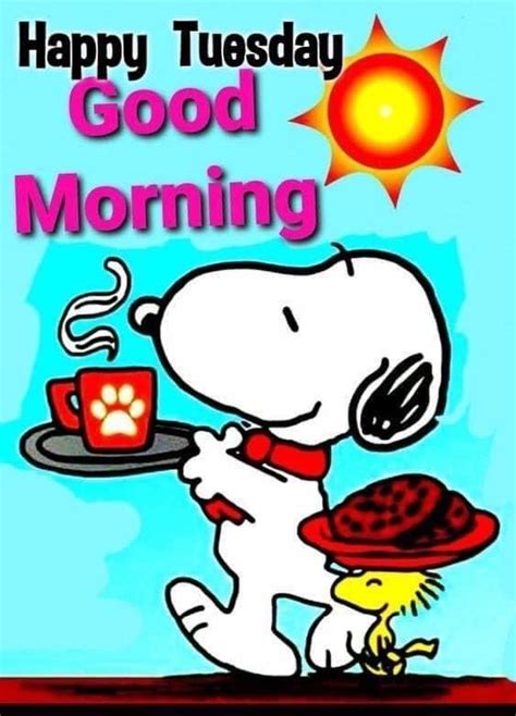 Happy Tuesday In 2020 Good Morning Snoopy Snoopy Pictures Snoopy