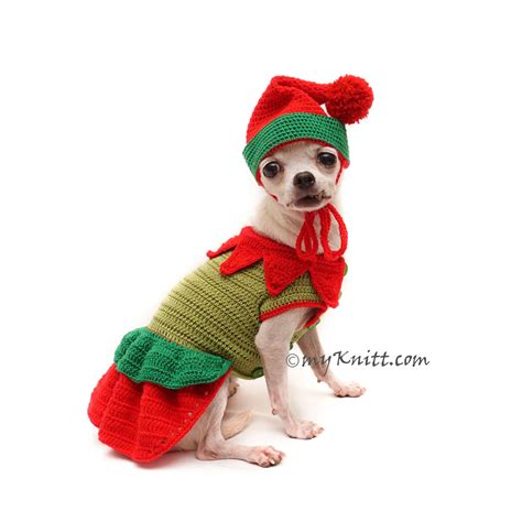 Elf Dog Costume Crochet With Pom Pom Dog Hat Christmas Santa Etsy