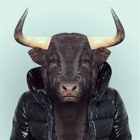 Zoo Portraits By Yago Partal Part 1 Gagdaily News