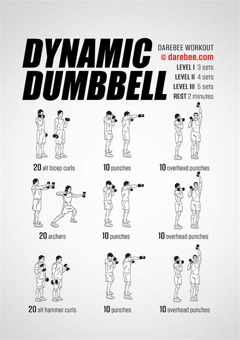 5 Day Pull Workout At Home With Dumbbells For Beginner Best Fitness