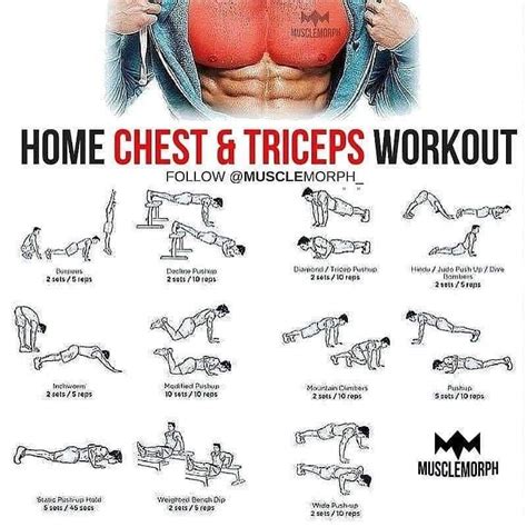 Tricep Workout Routine Ab And Arm Workout Toned Abs Workout Workout