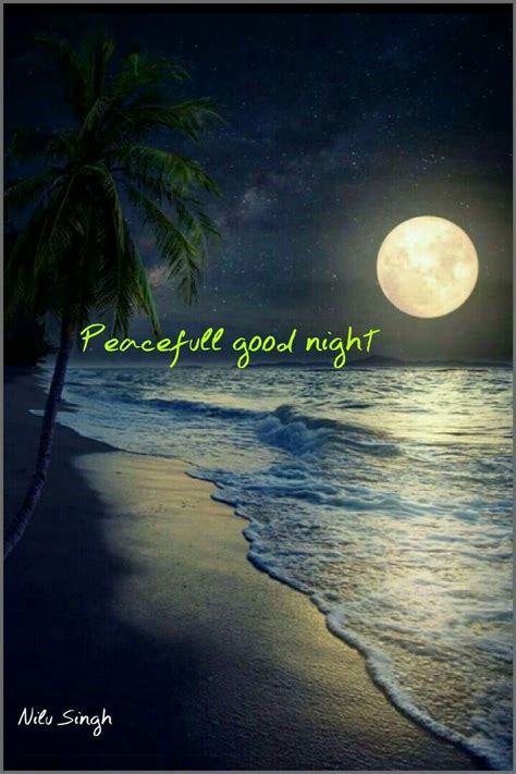 Pin By Patricia Hamm On Good Night In 2020 Good Night Blessings Good