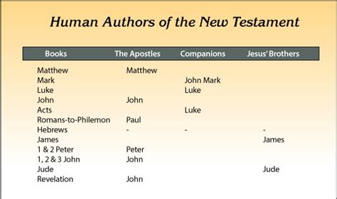 Human Authors Of The New Testament New Testament Books Bible Study