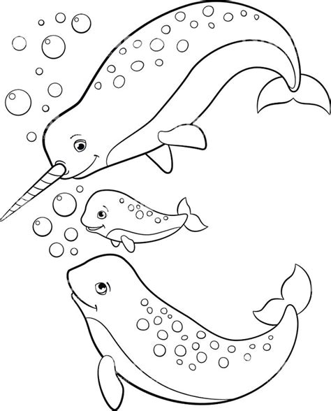 Narwhal Coloring Page at GetColorings.com | Free printable colorings