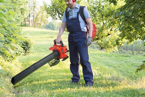 Maybe you would like to learn more about one of these? Dick Smith | Certa 26CC Petrol Leaf Blower and Vacuum ...