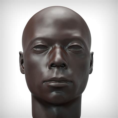 black man head realistic 3d model 109 ztl free3d
