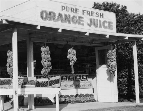 Oc History Roundup Orange County Citrus Crate Labels