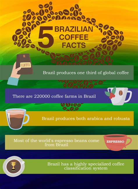 Best Brazilian Coffee Brands Of 2023 Top Picks And Guide Coffee Species