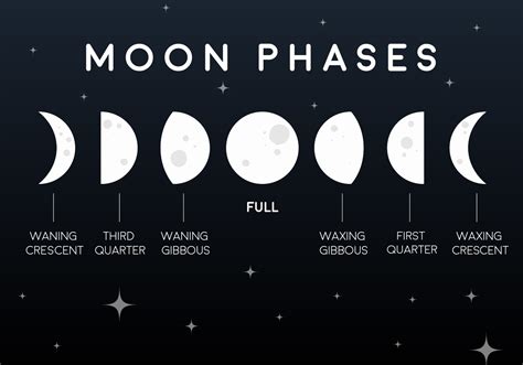 Vector Flat Moon Phases Icons Download Free Vector Art Stock