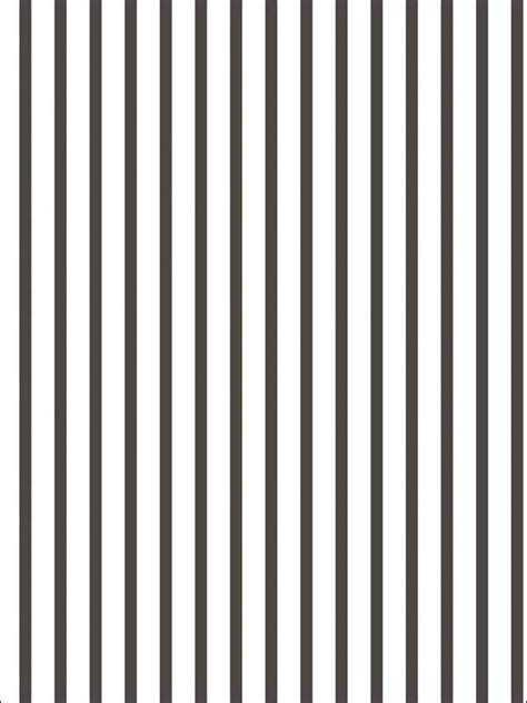 Pin Stripe And Multi Striped Black And White Wallpaper G67533 By