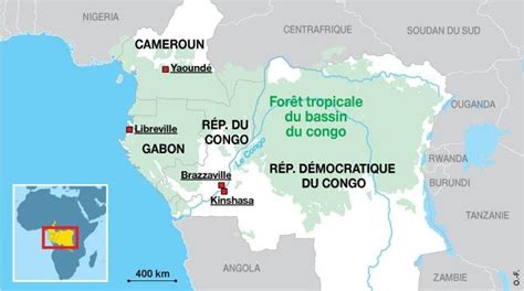 Le Bassin Du Congo Lautre Forêt Tropicale Qui Brûle