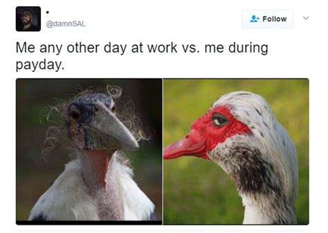 34 Sly Duck Memes Too Smooth For Your Own Good