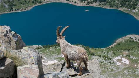 Lac Dallos Et Mont Pelat Sommet Dans Le Mercantour Club