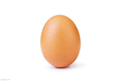 Egg Boi Imgflip