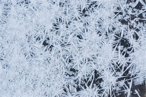 Spiky Winter Snow Ice Crystals Stock Image Image Of Weather Snow