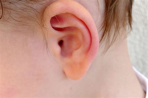 Telinga Berair Pada Anak Penyebab Gejala Dan Obat Honestdocs