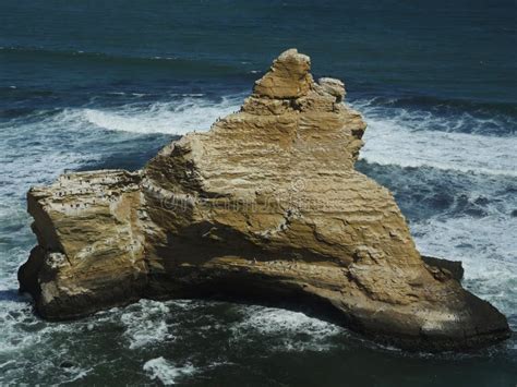 Paracas National Reserve Ica Region Peru Stock Image Image Of