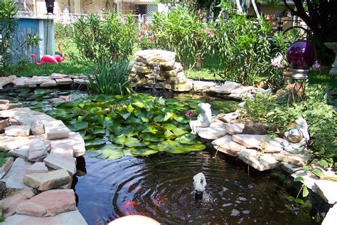 Pond And Aquatics Holly Days Nursery Garden Center And Landscaping