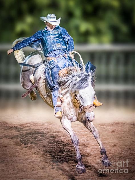 Rodeo Bronc Rider Photograph By Char Doonan Fine Art America
