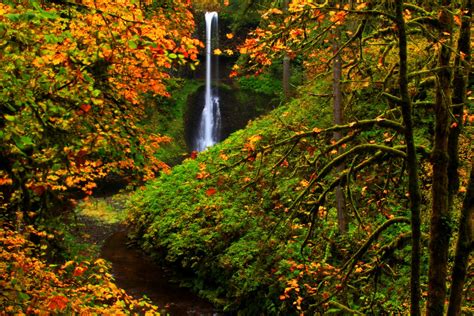 Silver Falls State Park Oregon In Autumn