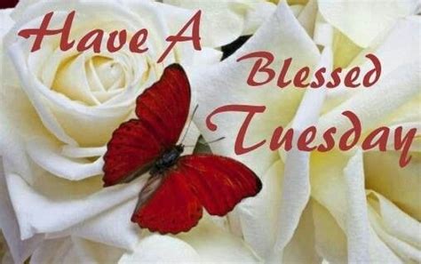 For he is kind unto the unthankful and to have a blessed day! Good morning everyone. Have a Blessed Tuesday. | Tuesday ...