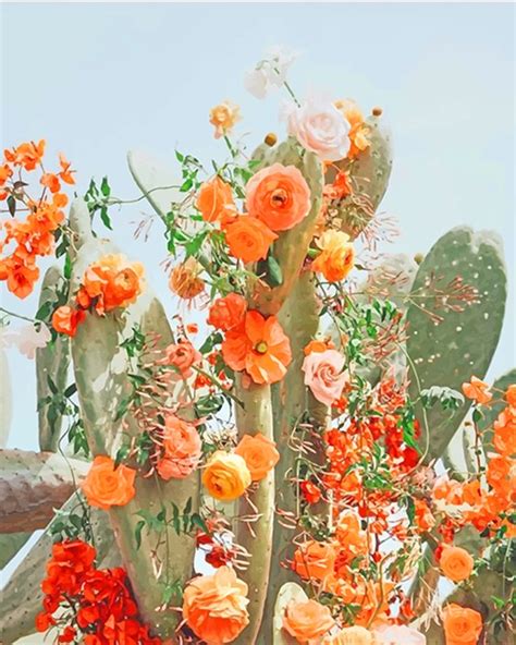 Cactus Flower Aesthetic New Paint By Numbers Numeral Paint