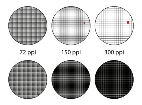 Dpi Vs Ppi Whats The Difference Photography Course