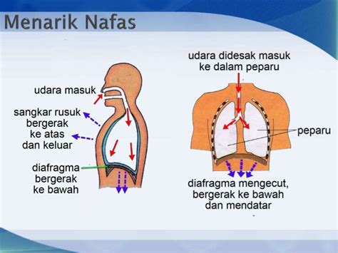 Sekarang saya sedang berusaha untuk menghasilkan nota bagi setiap topik / bab yang terdapat dalam sukatan sains tingkatan 3. Jawapan Eksperimen Sains Tingkatan 3 ...